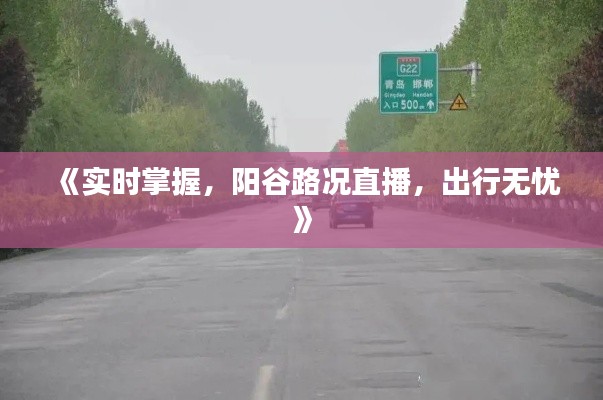 《实时掌握,阳谷路况直播,出行无忧》