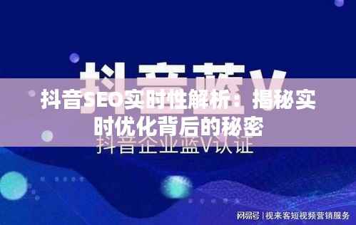 抖音SEO实时性解析:揭秘实时优化背后的秘密