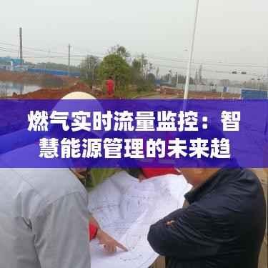 燃气实时流量监控：智慧能源管理的未来趋势