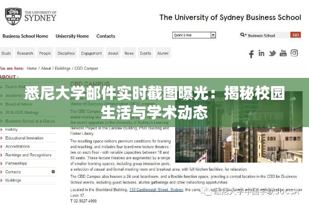 悉尼大学邮件实时截图曝光:揭秘校园生活与学术动态