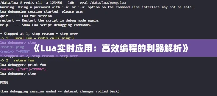 《Lua实时应用:高效编程的利器解析》