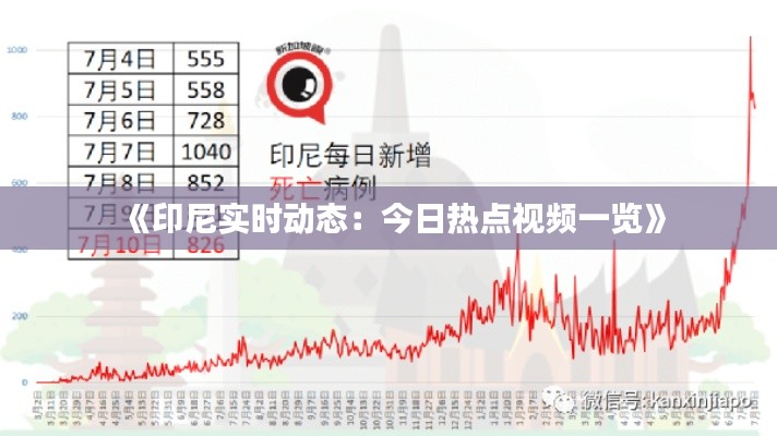 《印尼实时动态:今日热点视频一览》