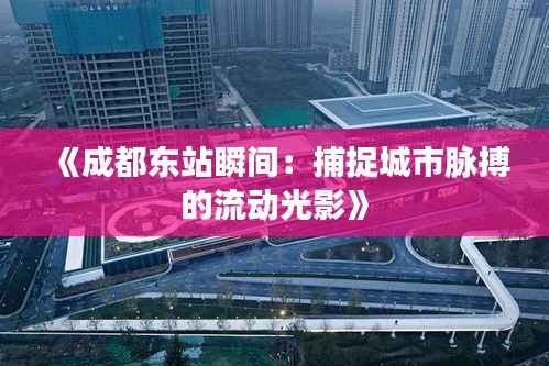 《成都东站瞬间:捕捉城市脉搏的流动光影》