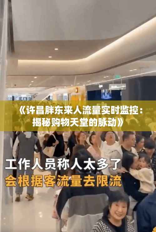 《许昌胖东来人流量实时监控:揭秘购物天堂的脉动》