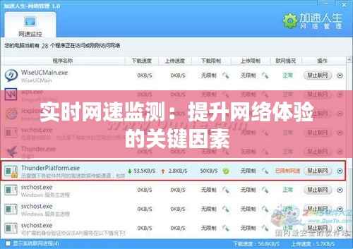 实时网速监测:提升网络体验的关键因素
