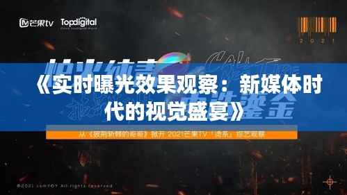 《实时曝光效果观察:新媒体时代的视觉盛宴》