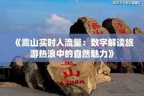 《嵩山实时人流量:数字解读旅游热浪中的自然魅力》