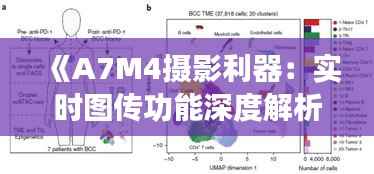《A7M4摄影利器:实时图传功能深度解析》