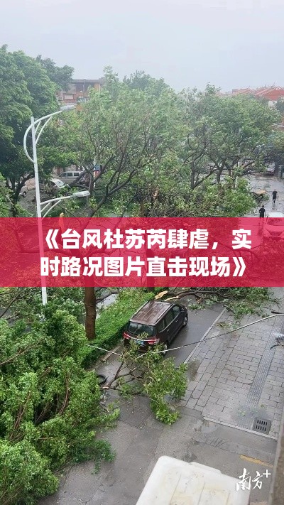 《台风杜苏芮肆虐,实时路况图片直击现场》