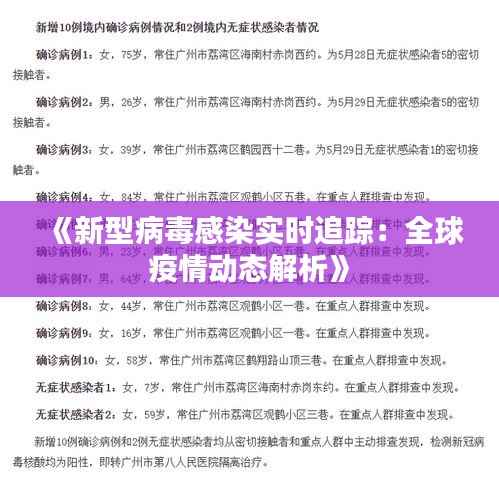 《新型病毒感染实时追踪:全球疫情动态解析》