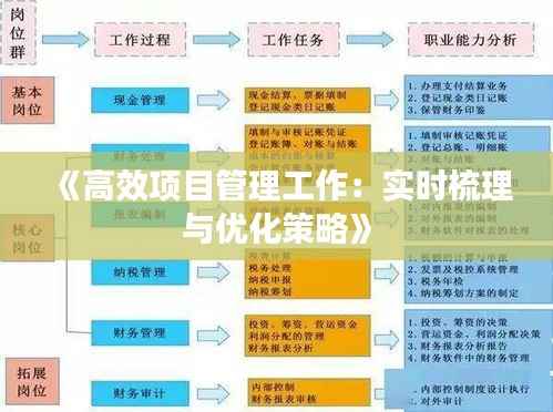《高效项目管理工作:实时梳理与优化策略》