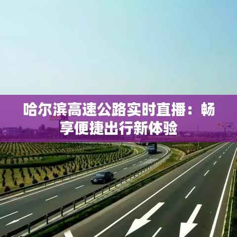 哈尔滨高速公路实时直播:畅享便捷出行新体验
