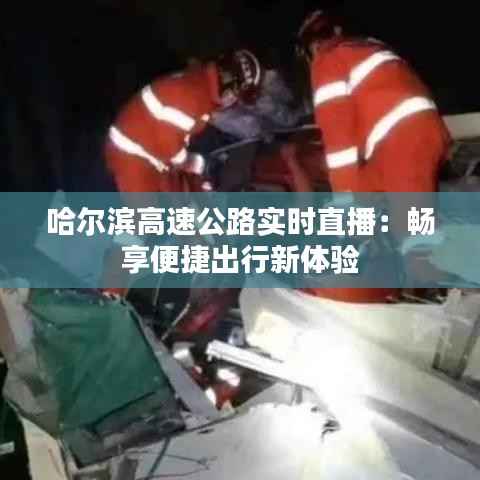 哈尔滨高速公路实时直播:畅享便捷出行新体验