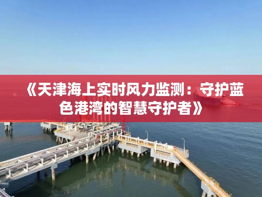 《天津海上实时风力监测：守护蓝色港湾的智慧守护者》