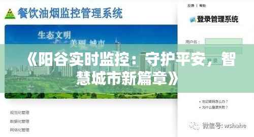 《阳谷实时监控:守护平安,智慧城市新篇章》