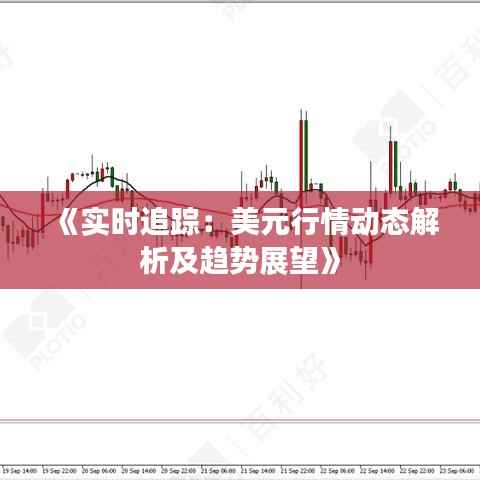 《实时追踪：美元行情动态解析及趋势展望》