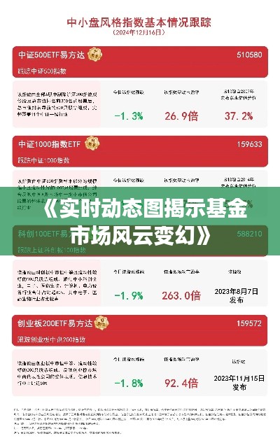 《实时动态图揭示基金市场风云变幻》