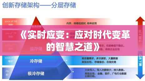 《实时应变:应对时代变革的智慧之道》