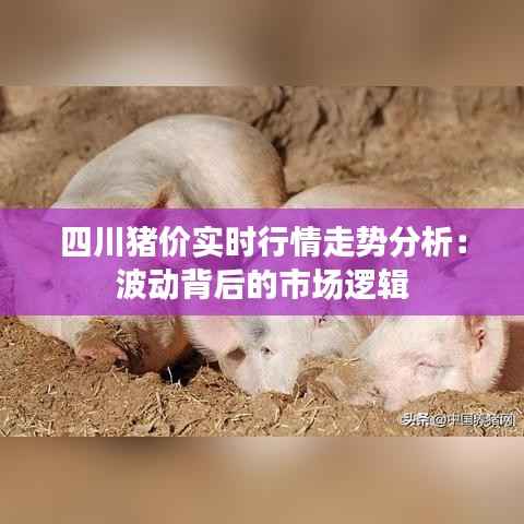 四川猪价实时行情走势分析:波动背后的市场逻辑