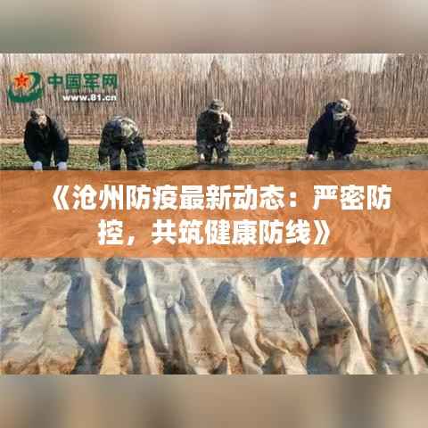 《沧州防疫最新动态：严密防控，共筑健康防线》