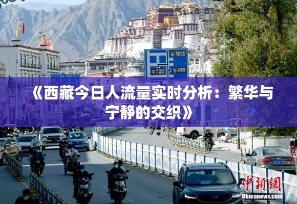 《西藏今日人流量实时分析:繁华与宁静的交织》