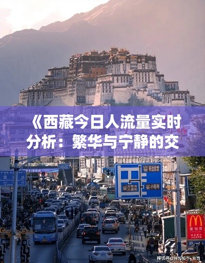 《西藏今日人流量实时分析:繁华与宁静的交织》