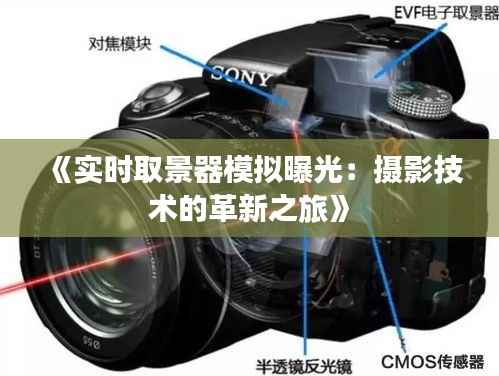 月里嫦娥 第5页