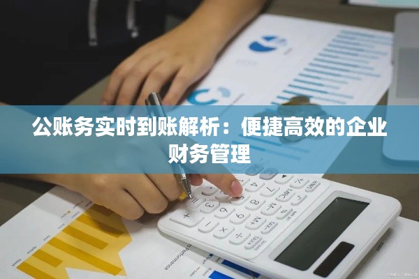 公账务实时到账解析:便捷高效的企业财务管理