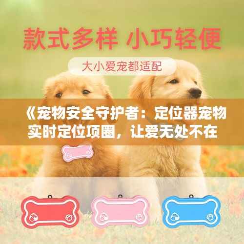 《宠物安全守护者:定位器宠物实时定位项圈,让爱无处不在》