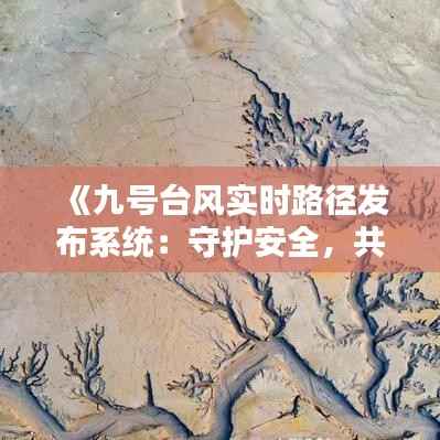 《九号台风实时路径发布系统:守护安全,共筑防台防线》