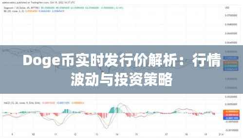 Doge币实时发行价解析：行情波动与投资策略