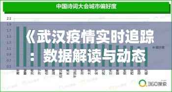 《武汉疫情实时追踪：数据解读与动态分析》