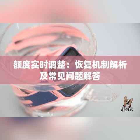 额度实时调整:恢复机制解析及常见问题解答