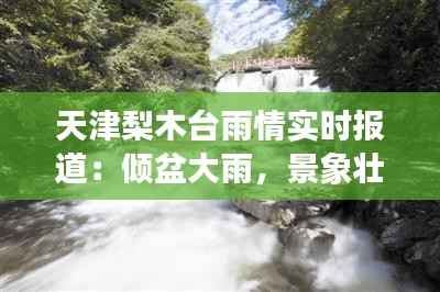 天津梨木台雨情实时报道:倾盆大雨,景象壮观