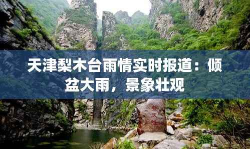 天津梨木台雨情实时报道:倾盆大雨,景象壮观