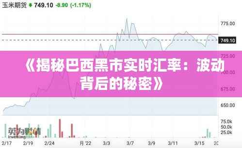 《揭秘巴西黑市实时汇率:波动背后的秘密》