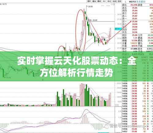 实时掌握云天化股票动态:全方位解析行情走势