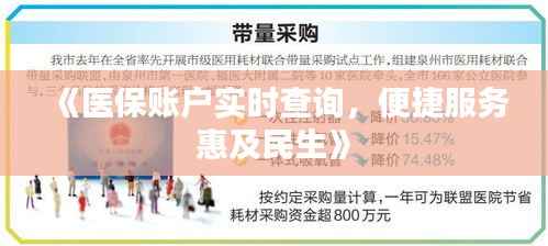 《医保账户实时查询，便捷服务惠及民生》
