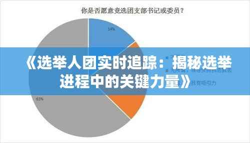 《选举人团实时追踪:揭秘选举进程中的关键力量》
