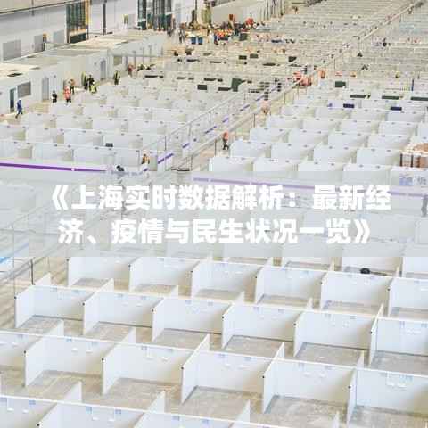 《上海实时数据解析:最新经济、疫情与民生状况一览》