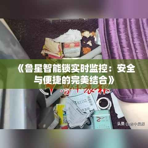 《鲁星智能锁实时监控:安全与便捷的完美结合》