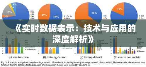 《实时数据表示:技术与应用的深度解析》