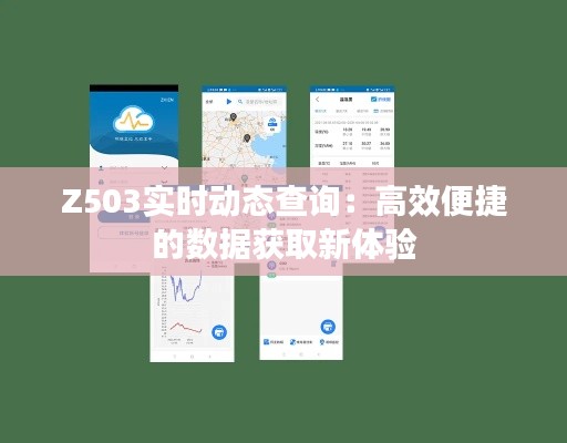 Z503实时动态查询:高效便捷的数据获取新体验