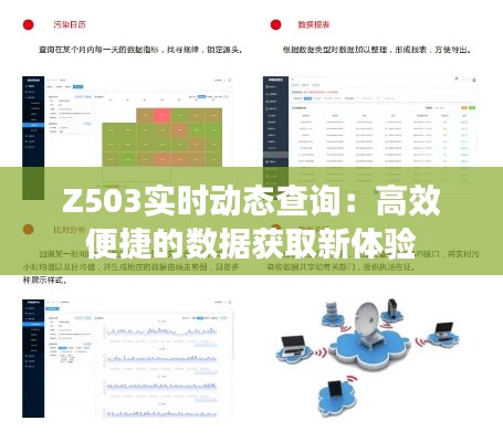 Z503实时动态查询:高效便捷的数据获取新体验