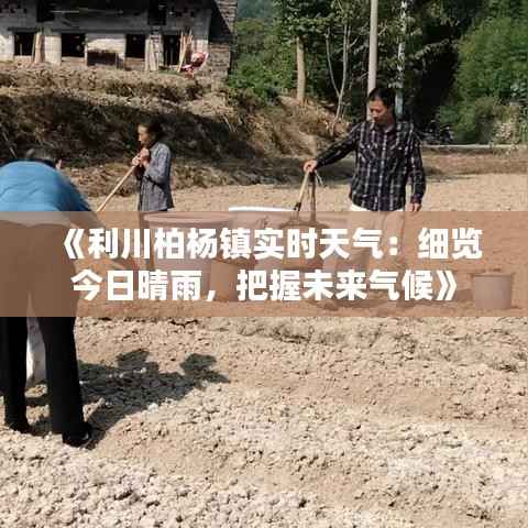 《利川柏杨镇实时天气:细览今日晴雨,把握未来气候》