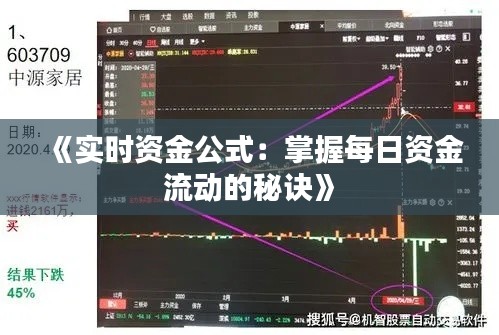 《实时资金公式:掌握每日资金流动的秘诀》