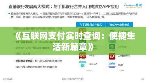 《互联网支付实时查询:便捷生活新篇章》