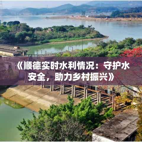 《顺德实时水利情况:守护水安全,助力乡村振兴》