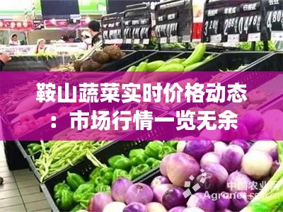 鞍山蔬菜实时价格动态:市场行情一览无余