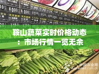 鞍山蔬菜实时价格动态:市场行情一览无余